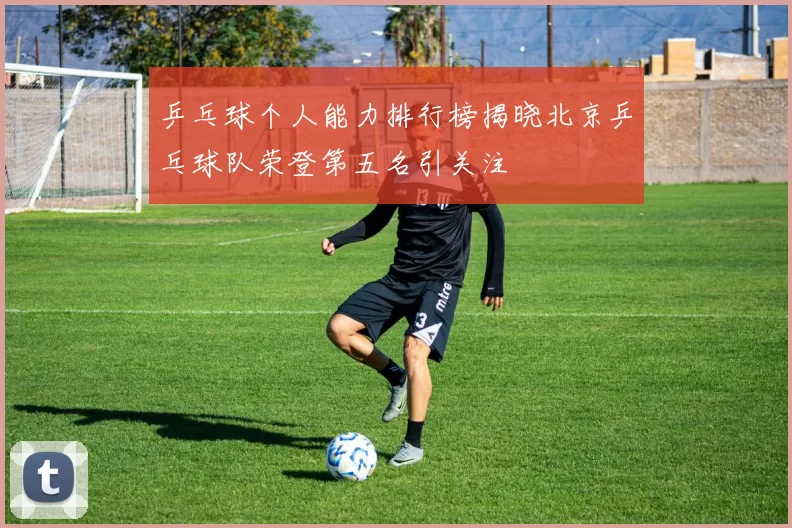 乒乓球个人能力排行榜揭晓北京乒乓球队荣登第五名引关注