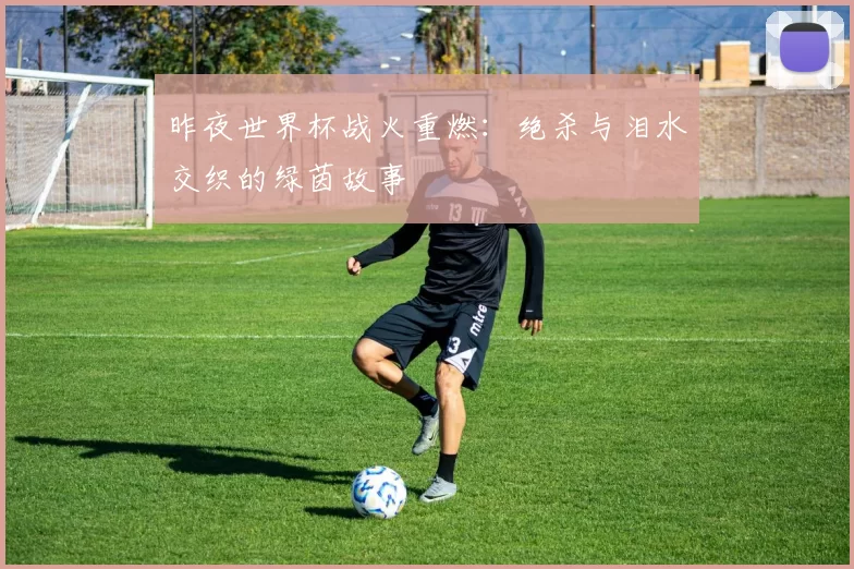 昨夜世界杯战火重燃:绝杀与泪水交织的绿茵故事