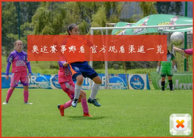 奥运赛事哪看 官方观看渠道一览
