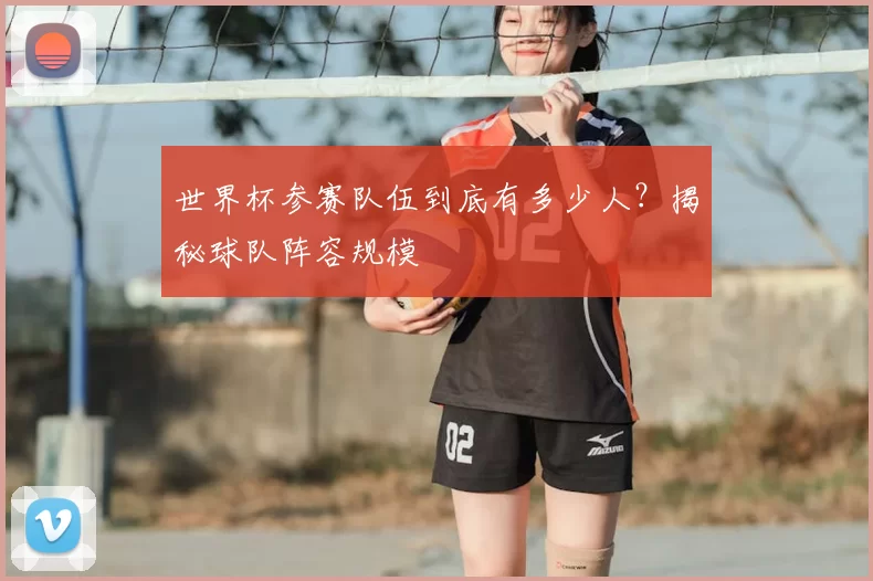 世界杯参赛队伍到底有多少人?揭秘球队阵容规模