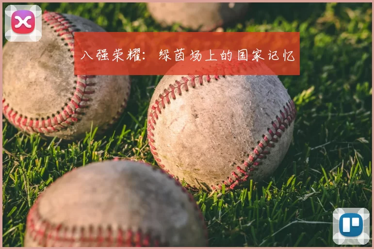 八强荣耀：绿茵场上的国家记忆