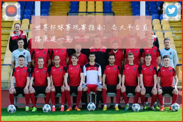世界杯球赛观赛指南:各大平台直播渠道一览