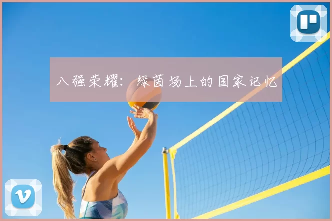八强荣耀：绿茵场上的国家记忆