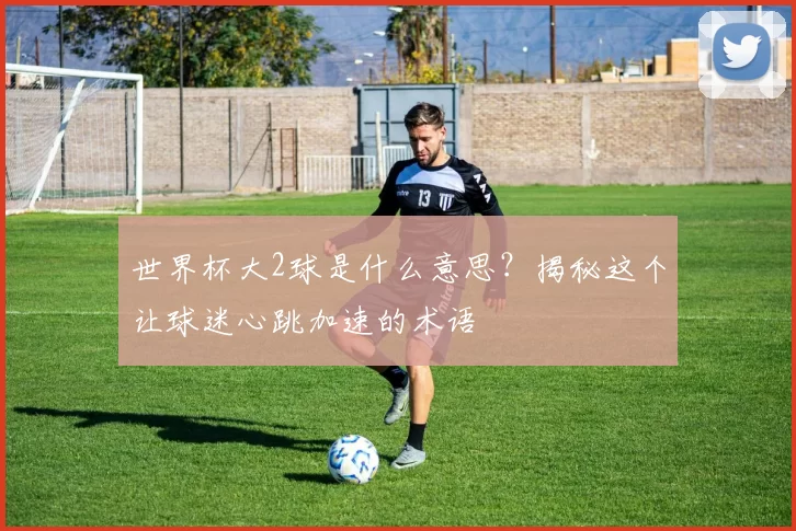 世界杯大2球是什么意思?揭秘这个让球迷心跳加速的术语