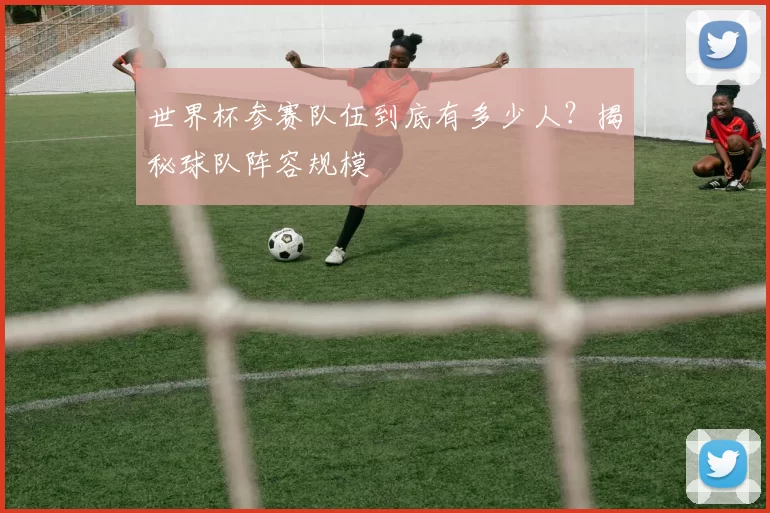 世界杯参赛队伍到底有多少人？揭秘球队阵容规模