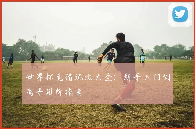 世界杯竞猜玩法大全：新手入门到高手进阶指南