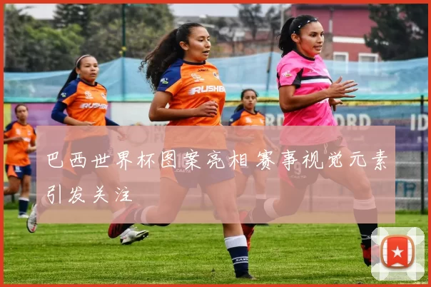 巴西世界杯图案亮相 赛事视觉元素引发关注