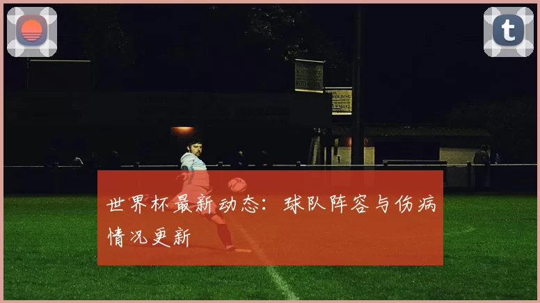 世界杯最新动态：球队阵容与伤病情况更新