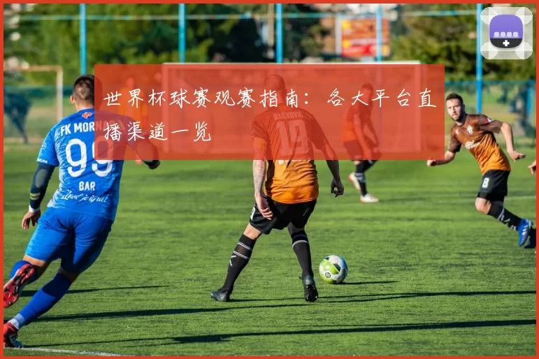 世界杯球赛观赛指南:各大平台直播渠道一览