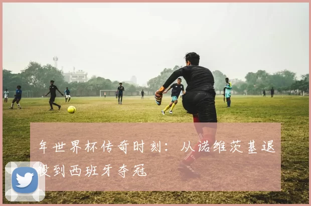年世界杯传奇时刻:从诺维茨基退役到西班牙夺冠