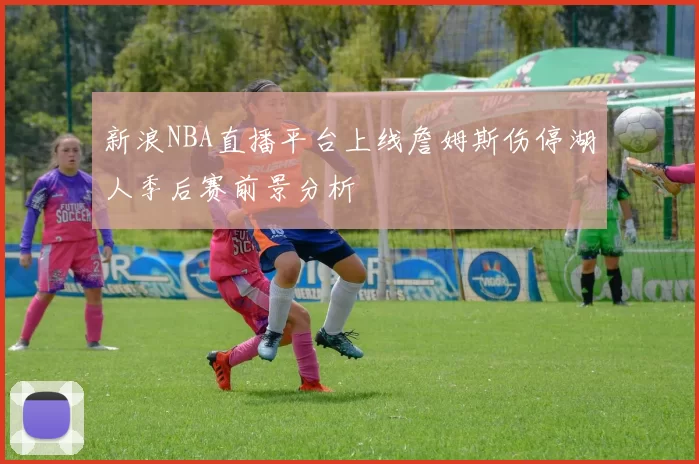 新浪NBA直播平台上线詹姆斯伤停湖人季后赛前景分析