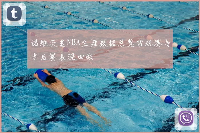 诺维茨基NBA生涯数据总览常规赛与季后赛表现回顾