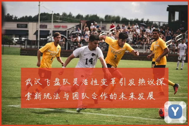 武汉飞盘队灵活性变革引发热议探索新玩法与团队合作的未来发展
