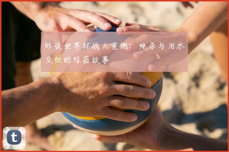 昨夜世界杯战火重燃：绝杀与泪水交织的绿茵故事